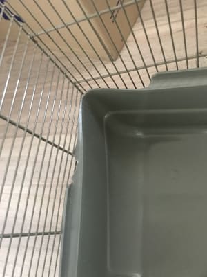 Cage rat Freddy 2 Max taupe 80x50x80cm