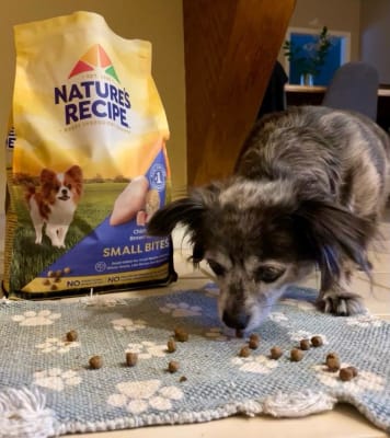 Nature s Recipe Small Bites Chicken Barley Brown Rice Recipe Dry Dog Food Post Consumer Brands