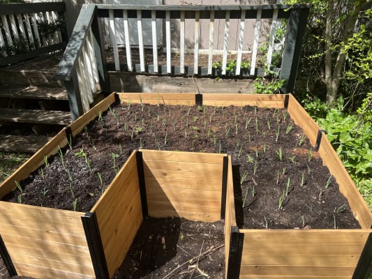 Vita Keyhole 6' x 6' Composting Garden Bed