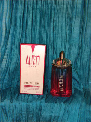 View Gallery Image #5