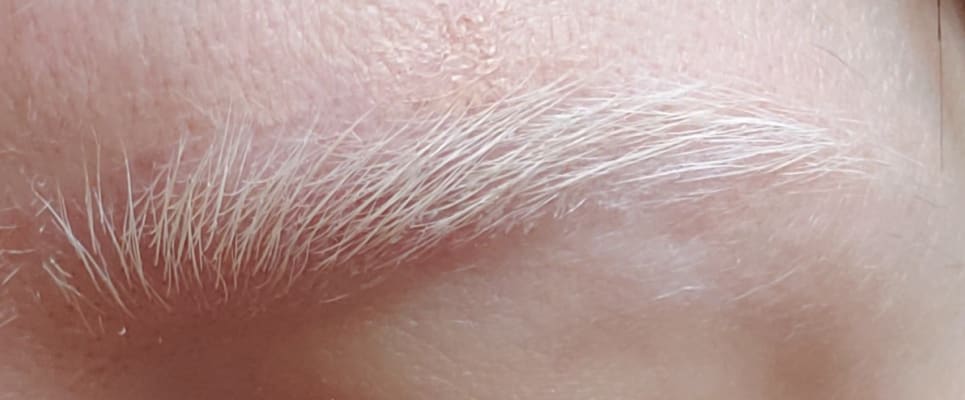 View Gallery Image #1