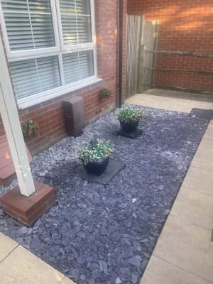 Purple slate chippings wickes discount