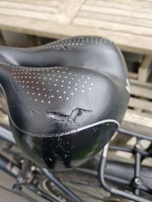 Liv Connect Comfort Plus bike saddle Liv Cycling UK