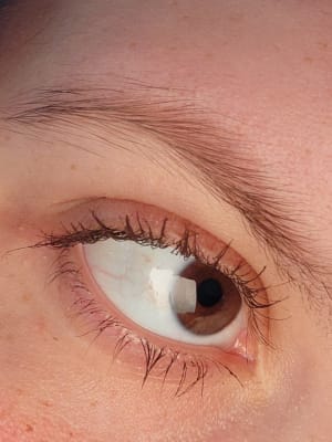 View Gallery Image #5