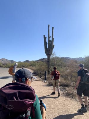 ensacar a dos osprey sirrus 36