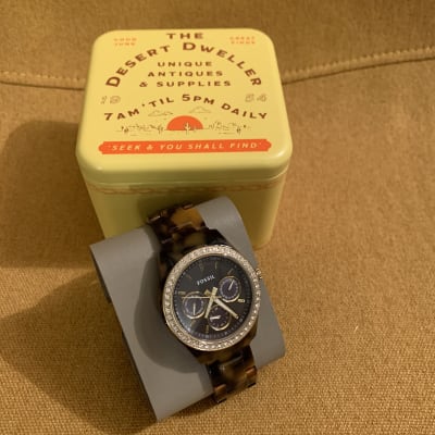 Fossil Stella shielded Tortoise Shell