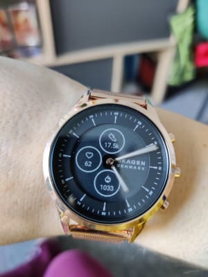 skagen 3100