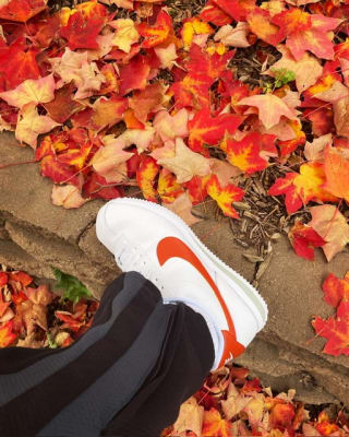 Shoe palace nike on sale cortez