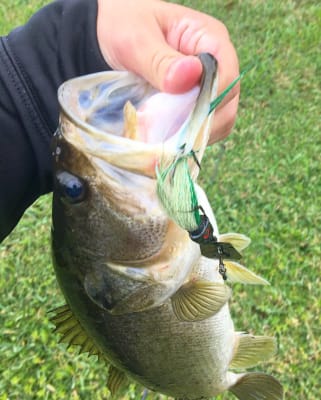 Chatterbait bucktail clearance