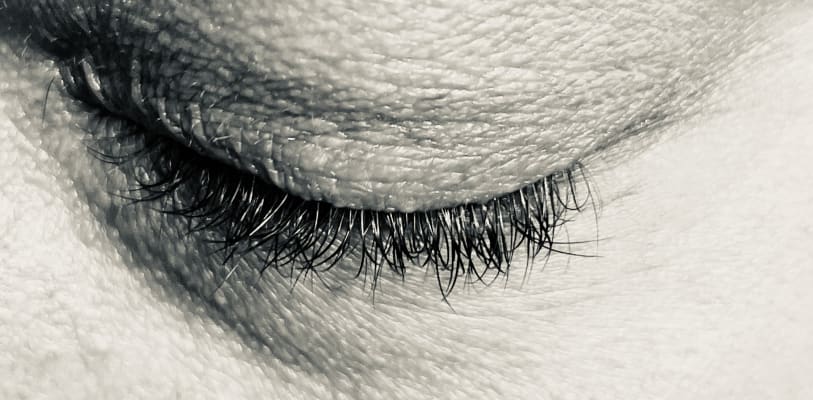 View Gallery Image #4