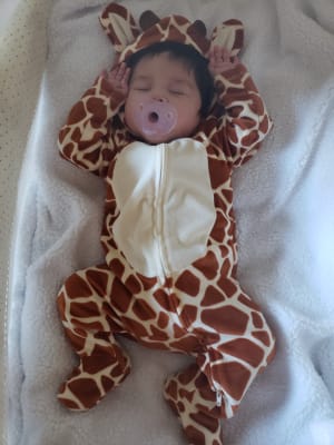 Old navy giraffe store dress