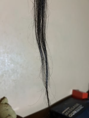 View Gallery Image #7