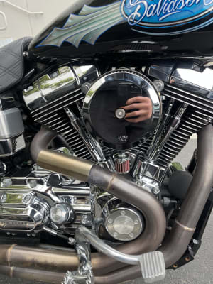 K&N RK-3933 Intake System-Harley Davidson