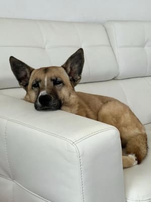 View Gallery Image #3