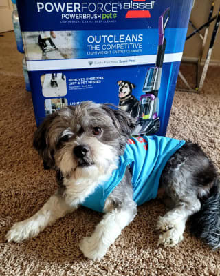 PowerForce™ PowerBrush Pet 2910 
