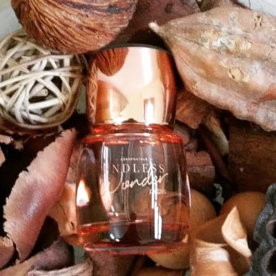 Aeropostale endless wonder petals perfume best sale