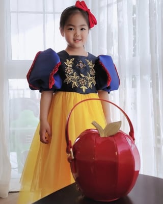 Snow White Apple Bag | eBay