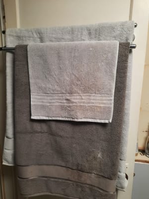 Living Colors Desert Sage Bath Towel