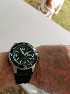 Fs5689 fossil sales