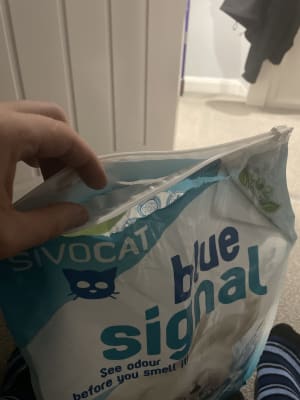 Sivocat blue signal hot sale