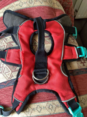 American tourister dog harness 2025