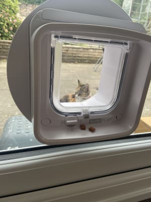 SureFlap Microchip Flap Connect Hub Bundle for Small Medium