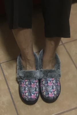 Bobs sales cat slippers