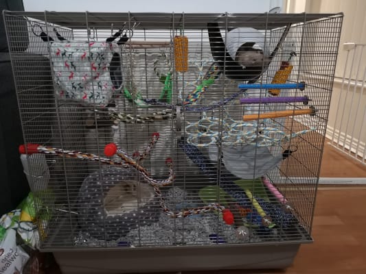 Cage pour furet et rat coloris gris Savic Freddy 2 – 80 x 50 x 63 cm :  Savic SAVIC animalerie - botanic®