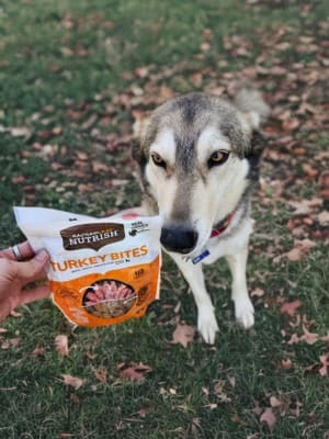 Rachael ray turkey bacon dog treats cheap