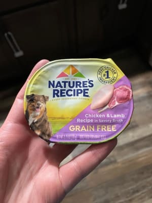 Nature's recipe grain free wet dog food cheap