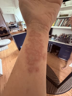 View Gallery Image #2