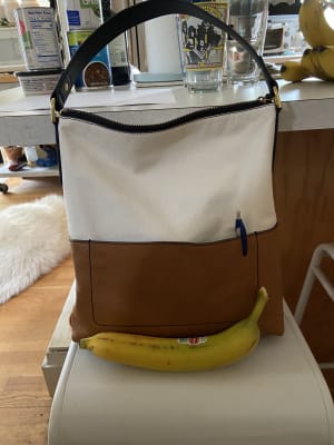 Amelia hobo 2025 fossil