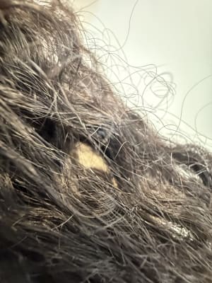 View Gallery Image #14