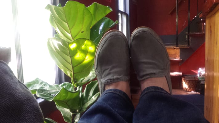 Sanuk Women's Pair O' Dice Slip-On Shoes