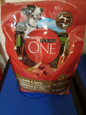 Menards purina one top