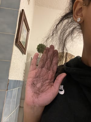 View Gallery Image #13