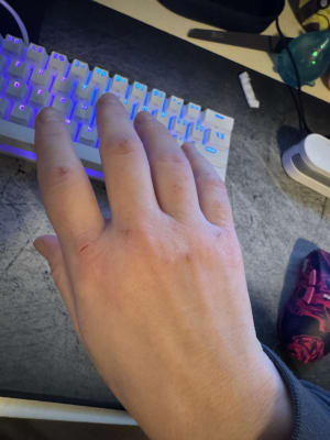 View Gallery Image #1