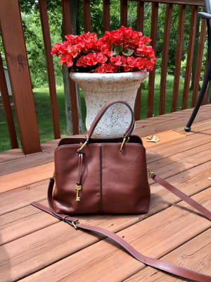 Fossil lane satchel black 2025