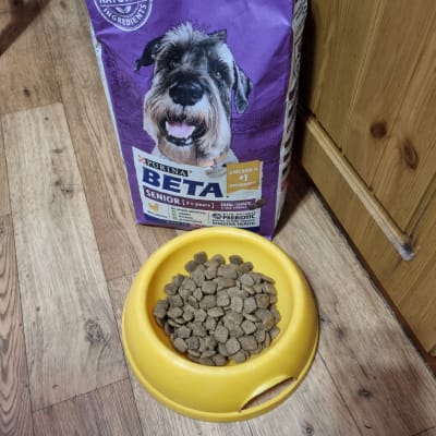 Beta senior dog deals food pets at home
