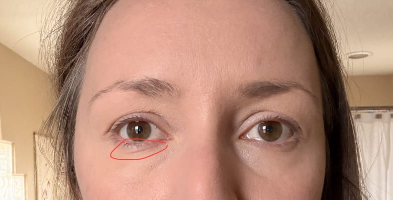 View Gallery Image #11