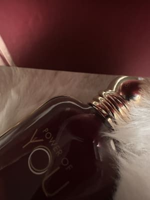 View Gallery Image #8