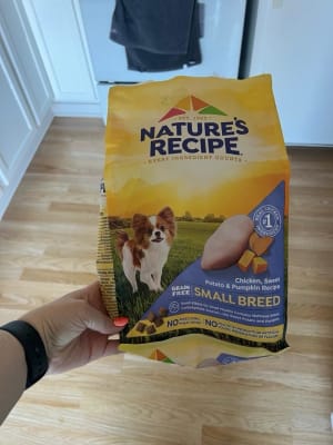 Nature's recipe small breed outlet