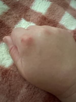 View Gallery Image #15