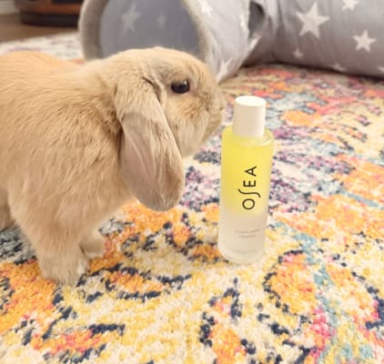 View Gallery Image #4