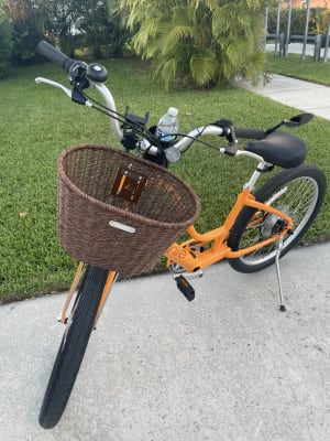 Electra Woven Plastic Basket