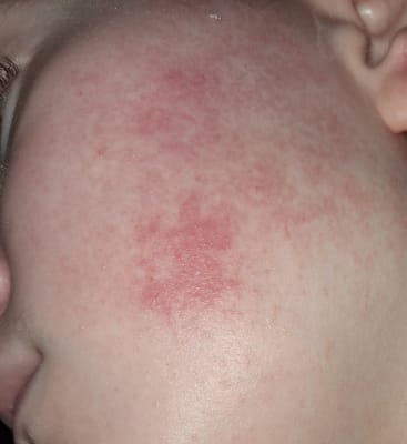 View Gallery Image #2