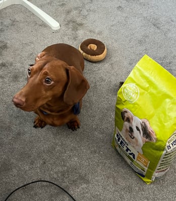 Beta puppy food top asda