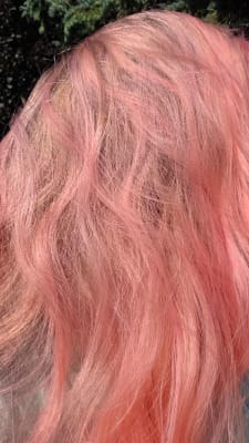 View Gallery Image #12