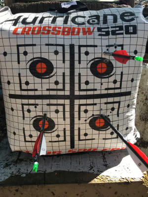 hurricane h21 crossbow target