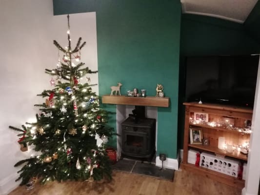 wickes jewel green no 845 vinyl matt emulsion paint 2 5l wickes co uk